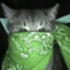 fashion pidor