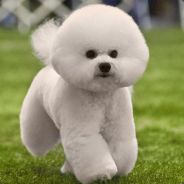 我喜欢唱跳rua篮球