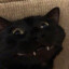 Dori