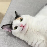 6 7
