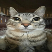 MIAU_Tadzik skins.army