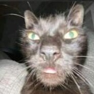 Jaq - steam id 76561199191982282