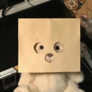 92岁退休老阿姨