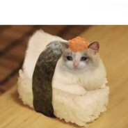 jsem fanoušek straty ho