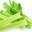 celery1337