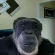 ВОДИЧКИ ЯИЧКИ