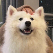 我是宁波杨靖一