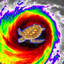 Turtle Typhoon