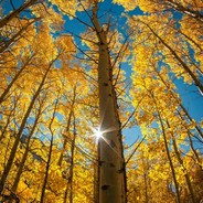 我奶奶都比你厉害