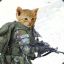 ✪ Soldier Cat™