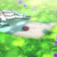 讨厌吃蒜