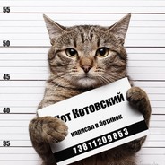 Кот Котовский