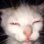 Mind Goblin