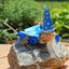 Lizard Wizard