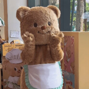 白将比荷花好抽