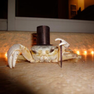 Mr.crab