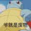 香蕉玉桂狗