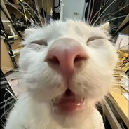 翻斗花园突破口健康哥