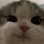 Paul