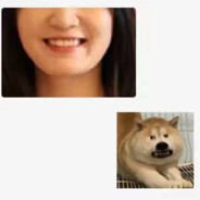 你老端着你那b锅干嘛