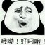 小秋酱