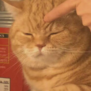 注意看 这个女人叫大山