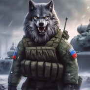 Волк с СВО - стрит