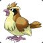 Pidgey