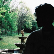 此生只爱梨花香