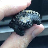 o0冠希柏汁霆疯0o