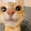Sup Player &lt;3