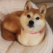 吧啦啦小魔仙变身