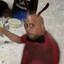 renato