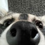 DanWho2045's avatar