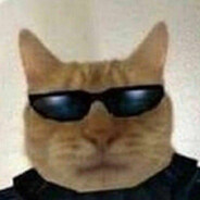 Catmoon