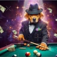 Dog Who Plays Too Much Pool