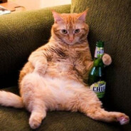 карманный дебоши