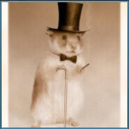 Mr Hamster avatar