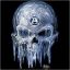 FroZen Skull