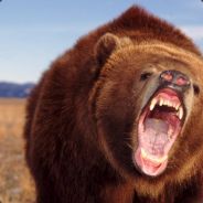 [Broadway|GL]Mr.Seker