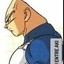 Vegeta careca