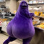 glutimus maximus