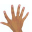 Fingers Plural