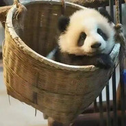 弗洛伊德广州分德