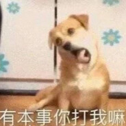 如果我是DJ你会爱我吗