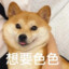 摸B能力极强