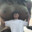 LHARIF_MAWJOUD