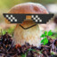 spocony_borowikシ