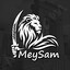 13 • MeySam