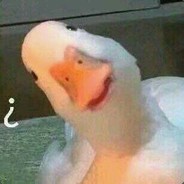 那老娘们可不像好人呐